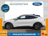 Ford Mustang Mach-E Basis - Ford: Taxi