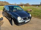 Volkswagen Lupo 1.7 SDI Oxford  - Volkswagen Lupo: Oxford
