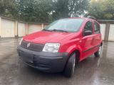 Fiat Panda - Fiat Panda Gebrauchtwagen in Dortmund