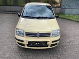 Fiat Panda 1.2 8V Dynamic - Fiat Panda: Gelb