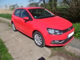 Volkswagen Polo 1.2 TSI 66kW BMT Comfortline