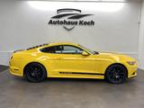 Ford MUSTANG 2.3 ECOBOOST - 50 YEARS MIT SHELBY LOOK! - Ford: 3.2