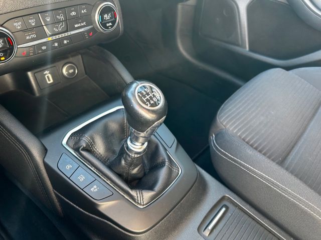 Focus Titanium Turnier*