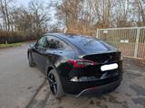 Tesla Model Y Hinterradantrieb RWD 1 Hand 19% MwSt - Tesla Model Y in Köln