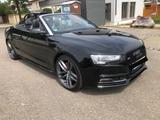 Audi S5 3.0 TFSI S tronic quattro Cabriolet - - Audi S5: 3.0