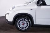 Fiat Panda 1.0 MY24 GSE Hybrid*Klima*4-Sitzer* - Fiat Panda: Sitzer