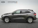 Ford Kuga Titanium X PHEV ACC*AHK*LED*SHZ*HUD* - Ford Kuga Kombi Gebrauchtwagen