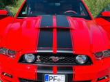 Ford Mustang Gt 5.0 Shelby Optik,, Kupplung neu!! - Ford Mustang aus 2025