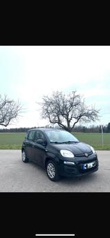 Fiat Panda 33.600Km - Fiat Panda Gebrauchtwagen in Karlsruhe