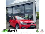Volkswagen Golf VII Highline/RLINE 1.5 TSI 6Gang*ACC*NAV*PT - Volkswagen Golf: 6.5