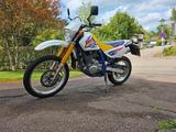 Suzuki DR 650 Enduro - Angebote