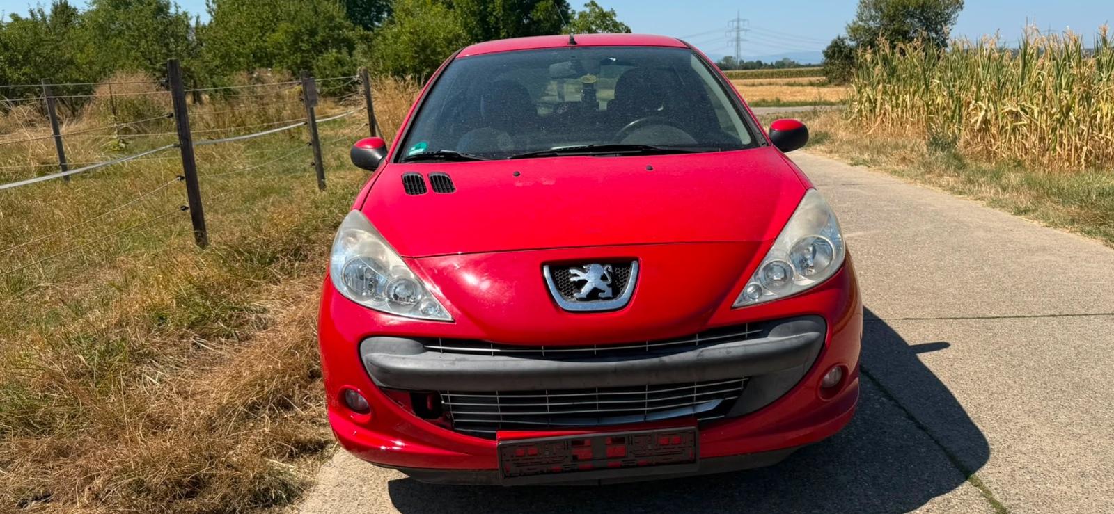 Peugeot 206 +
