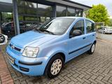 Fiat Panda 1.2 8V Dynamic AUTOMATIK - Fiat Panda mit Benzin-Antrieb: Kleinwagen, Automatik