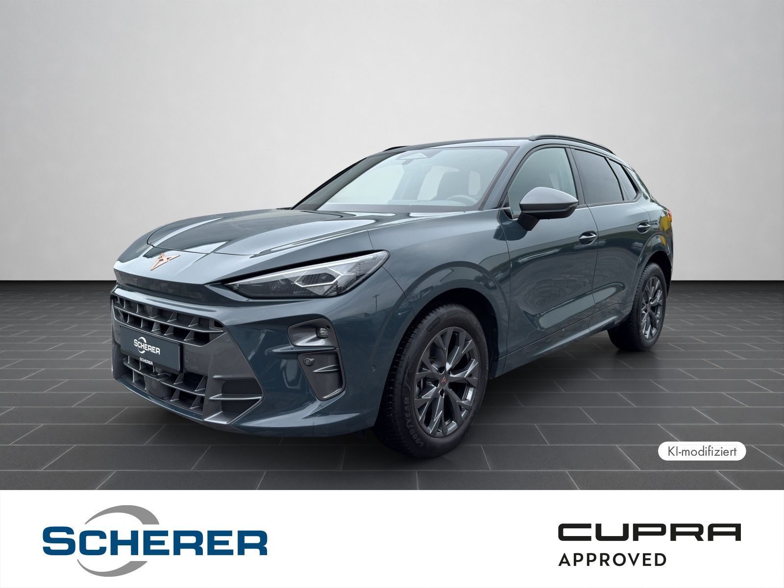 Cupra Terramar 1.5 eTSI DSG 5J-Garantie Sennheiser Mat