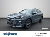 Cupra Terramar - Vorschau Bild 1