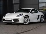 Porsche Cayman 20'' CarPlay Rückfahrkamera Tempostat - Porsche Cayman in Duisburg