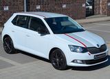 Skoda FABIA "BLACK & WHITE EDITION" 1.0 MPI aus 2.HAND - Skoda Fabia Gebrauchtwagen in Hamburg