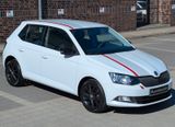 Skoda FABIA "BLACK & WHITE EDITION" 1.0 MPI aus 2.HAND - Skoda Fabia: 2.0
