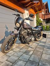 Harley-Davidson Sportster Iron 883N XL - Angebote