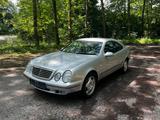 Mercedes-Benz MERCEDES BENZ CLK 230 KOMPRESSOR 1. HAND/A... - Mercedes-Benz CLK 230 in Essen