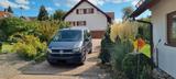 Volkswagen T 6.1  (Bulli) Camperausst., Standheizung - Angebote