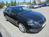 Skoda Octavia Style Green Tec, Pak.- Bolero,Scheinwerf - Skoda: Bolero
