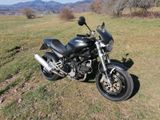 Ducati Monster Dark 900 i.e. - DUCATI MONSTER DARK