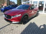 Mazda CX-30 2.5L e-SKYACTIV G 140 6MT FWD Homura - gebrauchte Mazda SUV & Geländewagen