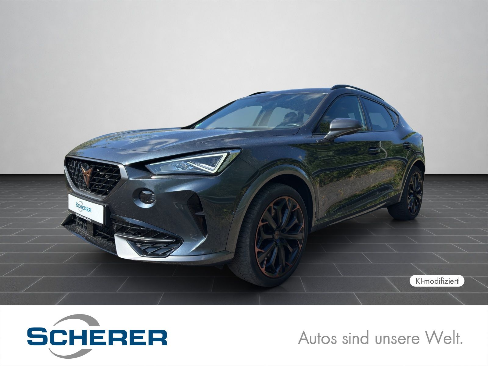 Cupra Formentor VZ 2.0 TSI DSG NAVI BEATS RFK SHZ ACC