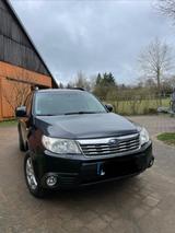 Subaru Forester 2.0X Exclusive Navigation Exclusive - Subaru Forester aus 2008: X