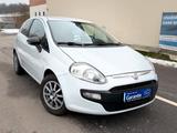 Fiat Punto Evo Dynamic*1 Jahr GARANTIE - Fiat Punto Evo Gebrauchtwagen