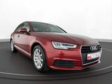 Audi A4 Limousine 35 TFSI - Audi A4: Rot