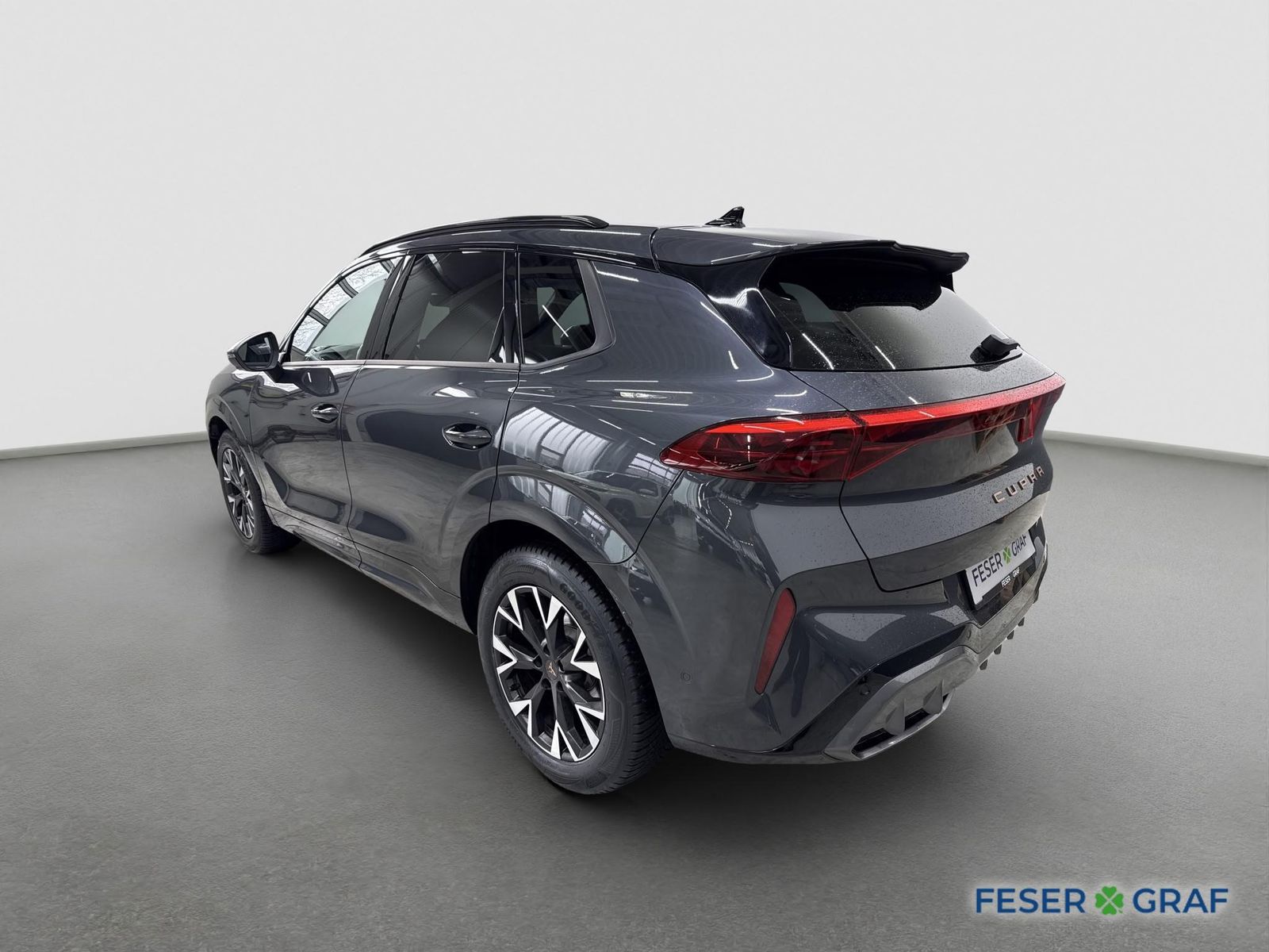 Cupra Terramar - Bild 6