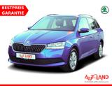 Skoda Fabia Combi 1.0 TSI DSG Sitzheizung SmartLink - Skoda Fabia Gebrauchtwagen in Dresden