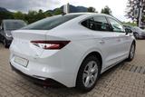 Skoda Enyaq Coupé 60 Loft Glasdach+Kamer+19-Zoll+94,9% - Skoda: Sportwagen
