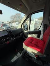 Carado T337 - Carado T 337