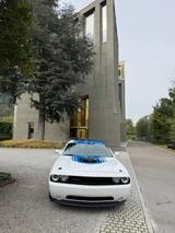 Dodge Challenger RT Shaker Mopar 14 Sammlerfahrzeug - Dodge Challenger aus 2014