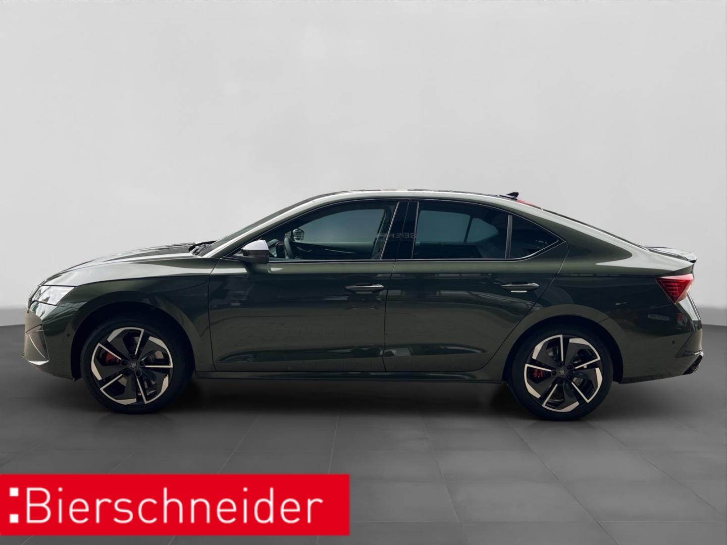 Skoda Octavia 2.0 TSI DSG RS CANTON DCC AHK HEAD-UP MA