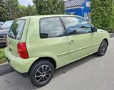 Volkswagen Lupo 1.0 Oxford    *HU/AU-NEU! - Volkswagen Lupo: Grün