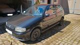 Volkswagen Polo 1.6 Colour Concept Vollausstattung 3er - Volkswagen Polo: Concept