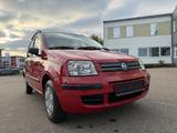 Fiat New Panda 1.2 8V Dynamic - Fiat aus 2005