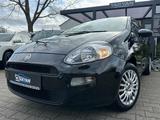 Fiat Punto Pop*Tüv-Neu*Inspektion*-Neu* - Fiat Punto Gebrauchtwagen in Mannheim