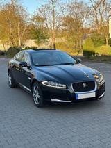 Jaguar XF 3.0 L V6 Diesel S - - Jaguar XF in Duisburg