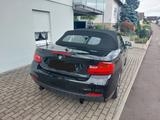 BMW M235i xDrive Steptronic Cabrio - - BMW M235 von privat