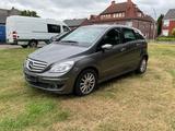Mercedes-Benz B 170 Automatik Klima SitzHz Special Edition - Mercedes-Benz B 170: Kleinwagen