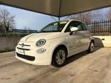 Fiat FIAT 500 0.9 TwinAir Turbo 85 CV DESIGN OK NEOPA - Fiat 500: Twinair 85
