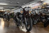 Royal Enfield Classic 650 neues Modell 2025, sofort lieferbar - Offers