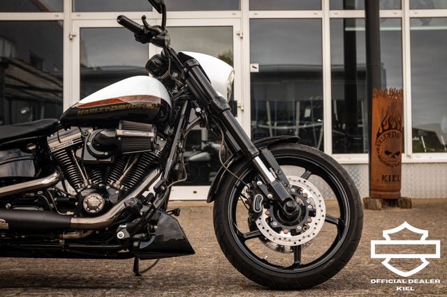 Fahrzeugabbildung Harley-Davidson CVO PRO STREET 110 cui FXSE - JEKILL&HYDE