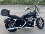 Harley-Davidson Sportster 1200 CB, Penzl Endtopf, Windschild - Offers matching your search criteria