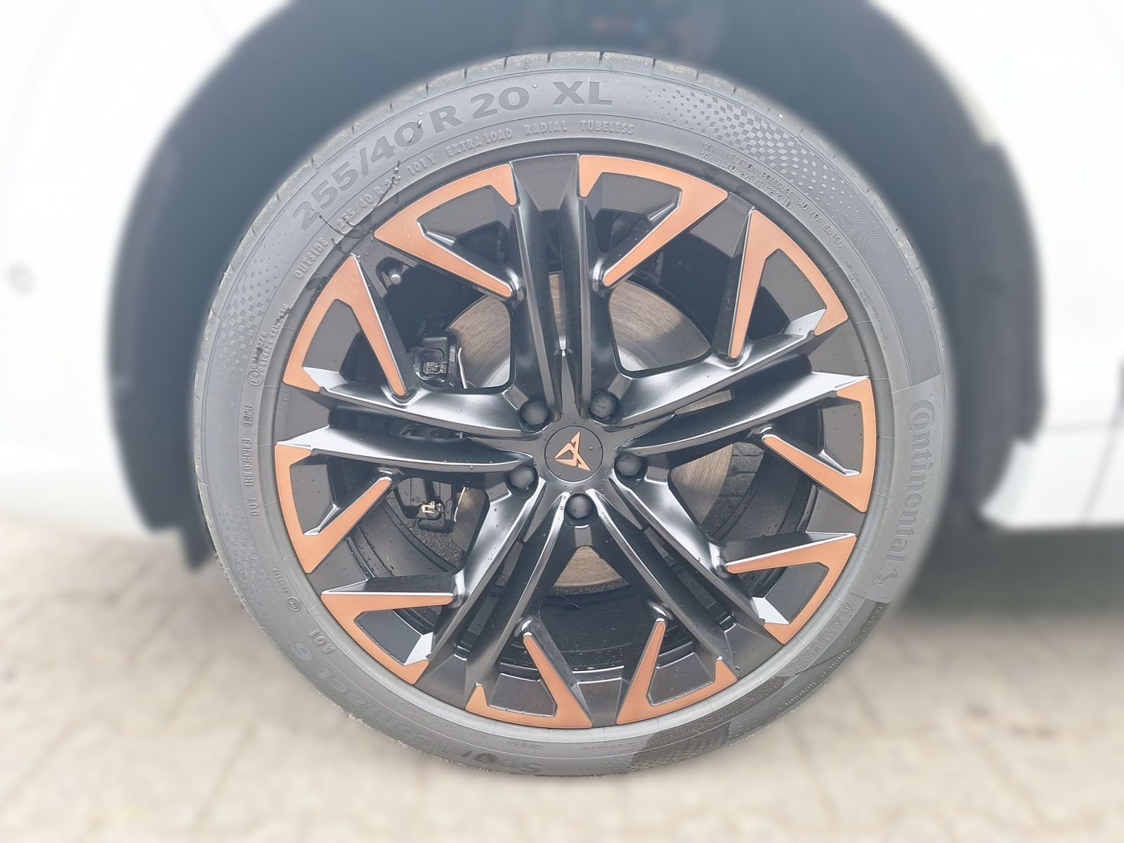 Cupra Terramar - Bild 7